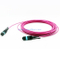 MTP-MTP trunk cable 12F/24F