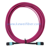 MTP Female to Female 12 Fibers OM4 50/125 Multimode Trunk Cable, Polarity B, Elite, Plenum (OFNP) Bunch