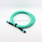 Armored MTP trunk cable
