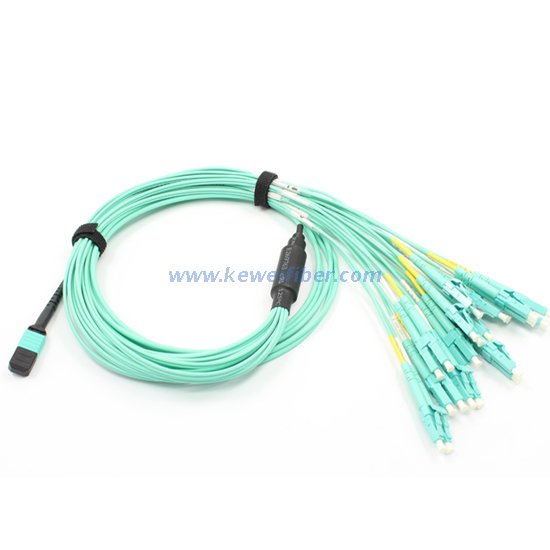8/12/24cores MPO-LC/SC/FC/ST Staggered harness Cables assemblies