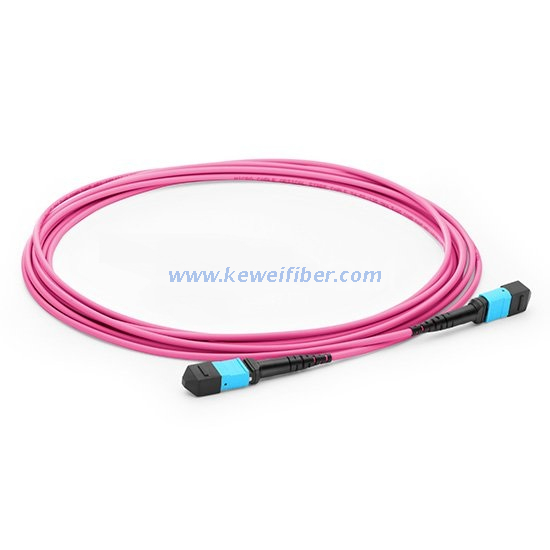 MTP Female to Female 12 Fibers OM4 50/125 Multimode Trunk Cable, Polarity B, Elite, Plenum (OFNP) Bunch