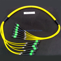 MPO-MPO Trunk cable-48F/60F/72F/96F/144F