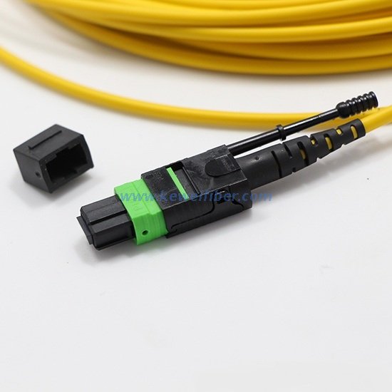 8/12/24cores MTP-LC/SC/FC/ST Standard harness Cables assemblies