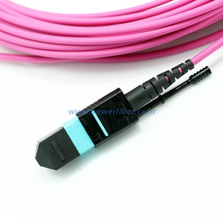 8/12/24cores MTP-LC/SC/FC/ST Standard harness Cables assemblies