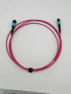 MPO female-MPO female OM4 8cores Type B 2meters patch cord 