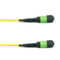 MTP/APC-MTP/APC Female to Female Fiber Optic Patch cord SM 100/400G 12/24cores LSZH yellow 