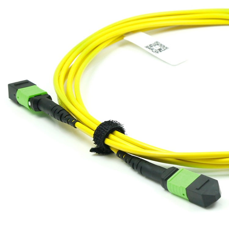 MTP/APC-MTP/APC Female to Female Fiber Optic Patch cord SM 100/400G 12/24cores LSZH yellow 